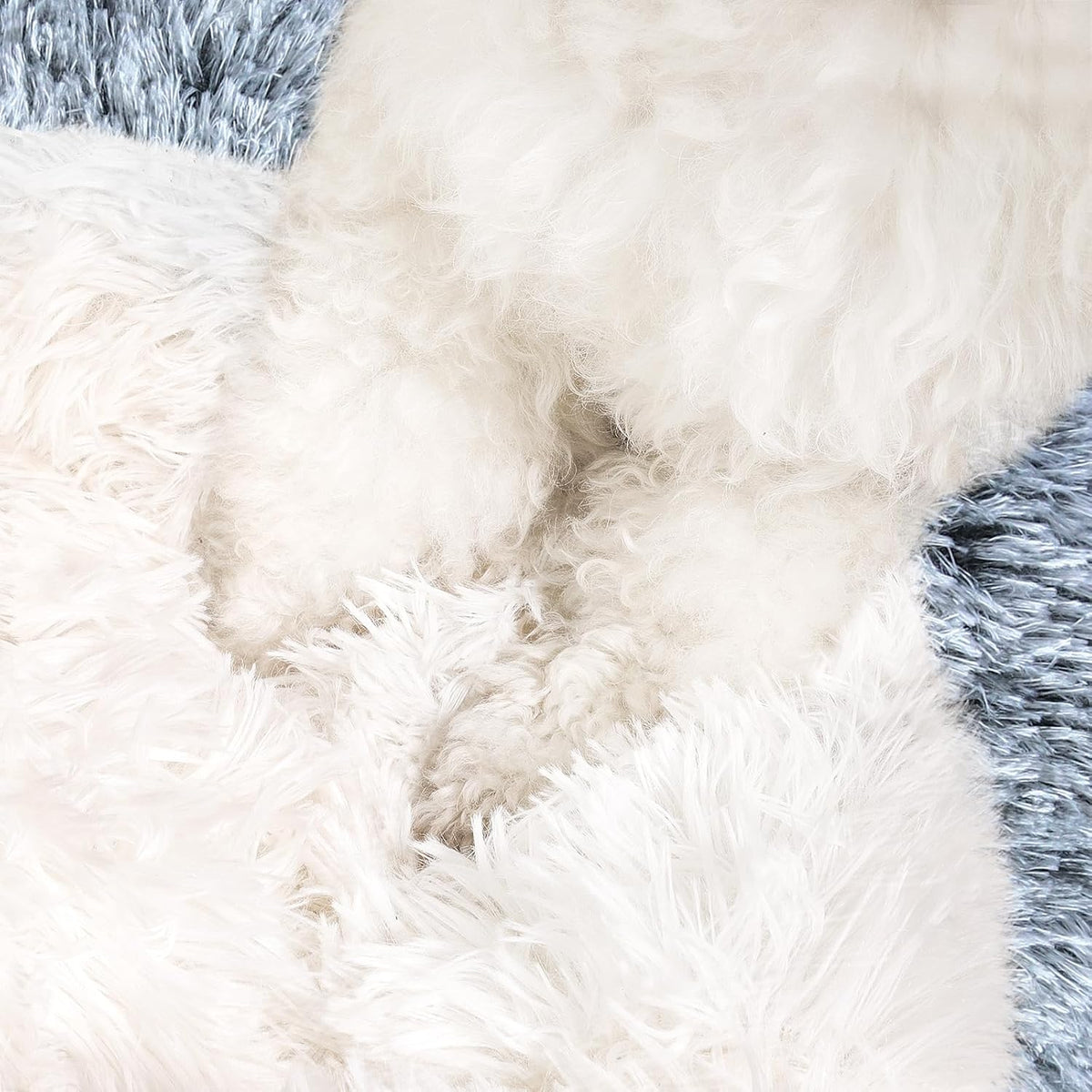 Hooded Donut Bed, Calming Cave for Cats & Small Dogs