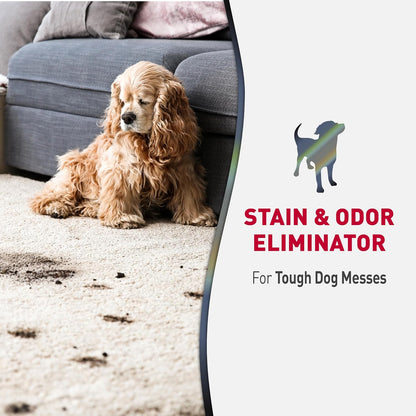 Advanced Dog Stain & Odor Eliminator, Severe Mess, 1 gal