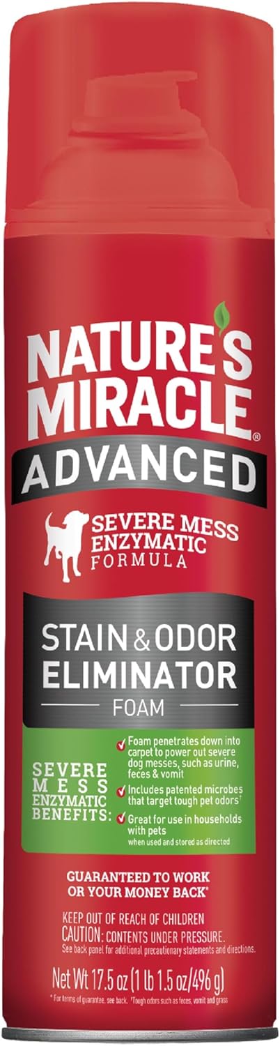Advanced Dog Stain & Odor Eliminator, Severe Mess, 1 gal