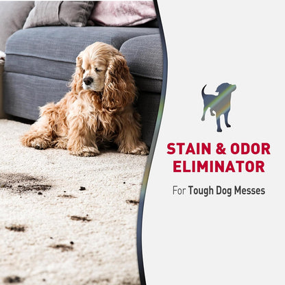 Advanced Dog Stain & Odor Eliminator, Severe Mess, 1 gal
