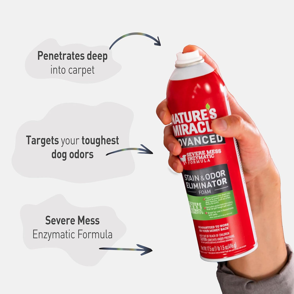 Advanced Dog Stain & Odor Eliminator, Severe Mess, 1 gal