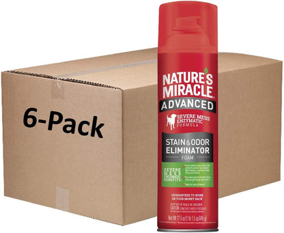 Advanced Dog Stain & Odor Eliminator, Severe Mess, 1 gal