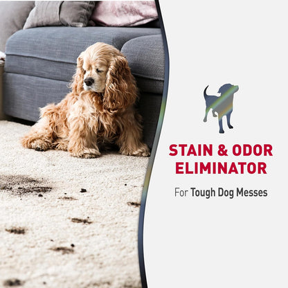 Advanced Dog Stain & Odor Eliminator, Severe Mess, 1 gal