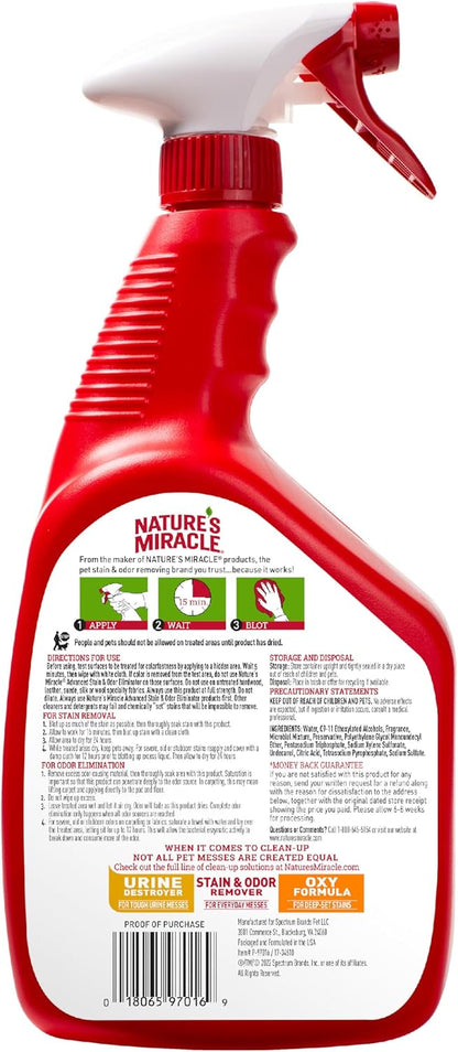 Advanced Dog Stain & Odor Eliminator, Severe Mess, 1 gal