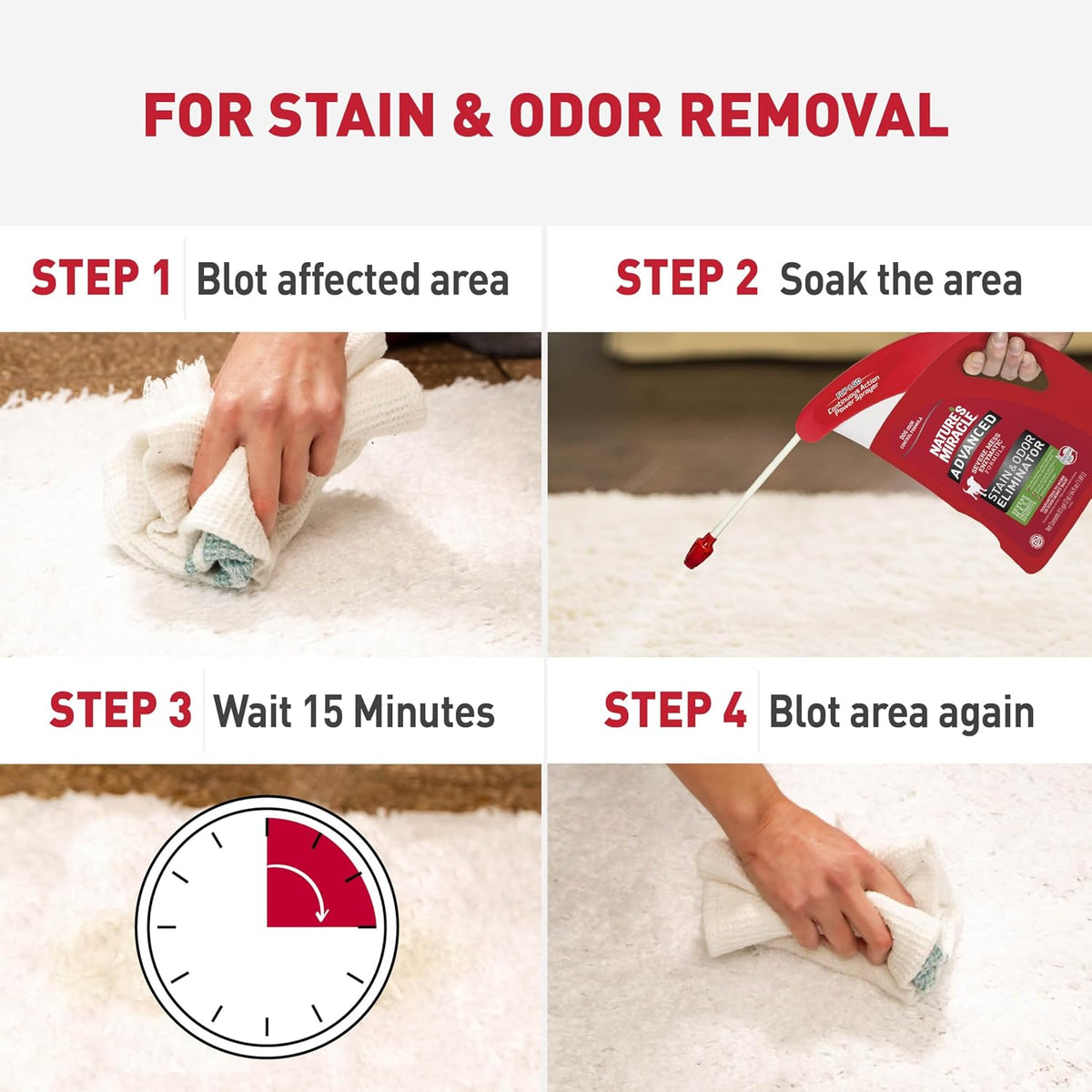 Advanced Dog Stain & Odor Eliminator, Severe Mess, 1 gal