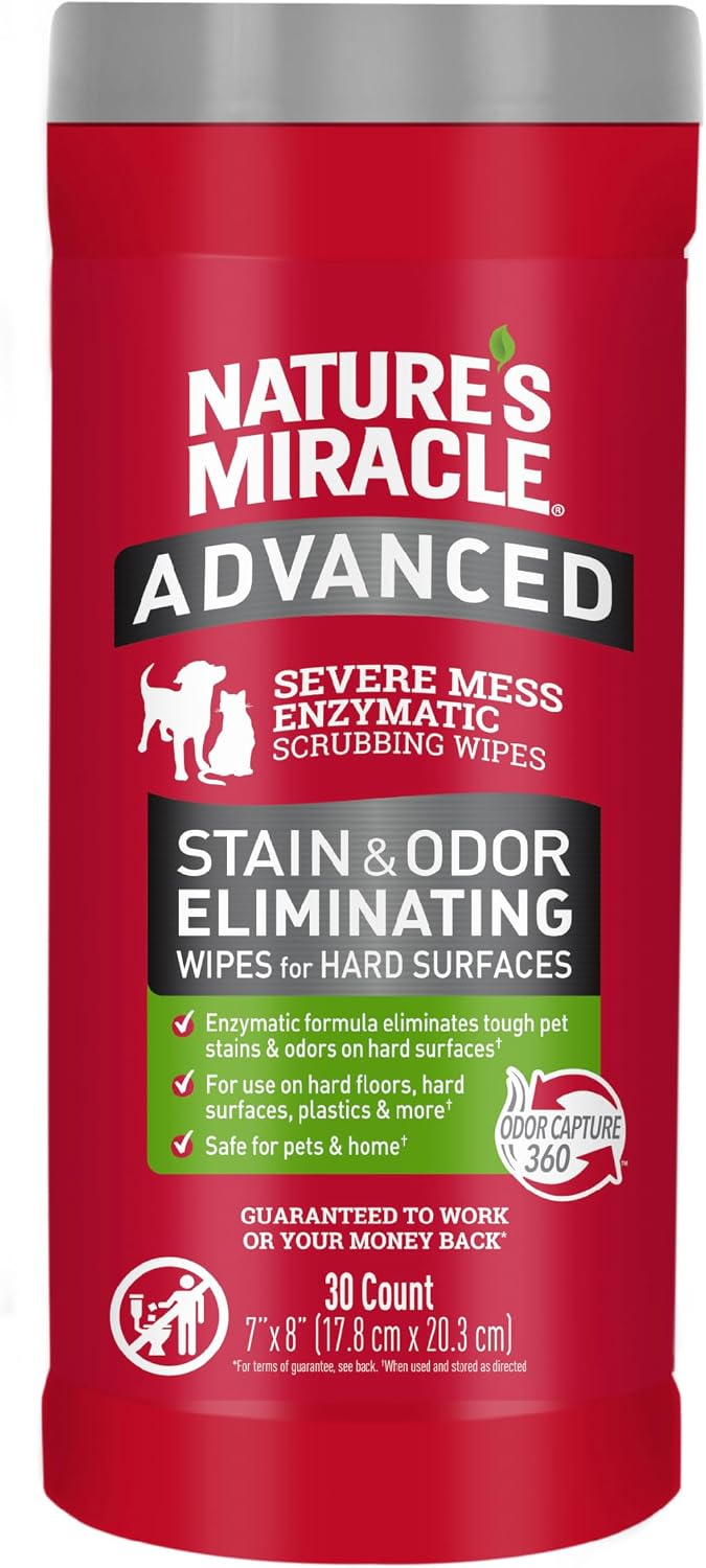 Advanced Dog Stain & Odor Eliminator, Severe Mess, 1 gal