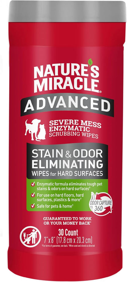 Advanced Dog Stain & Odor Eliminator, Severe Mess, 1 gal