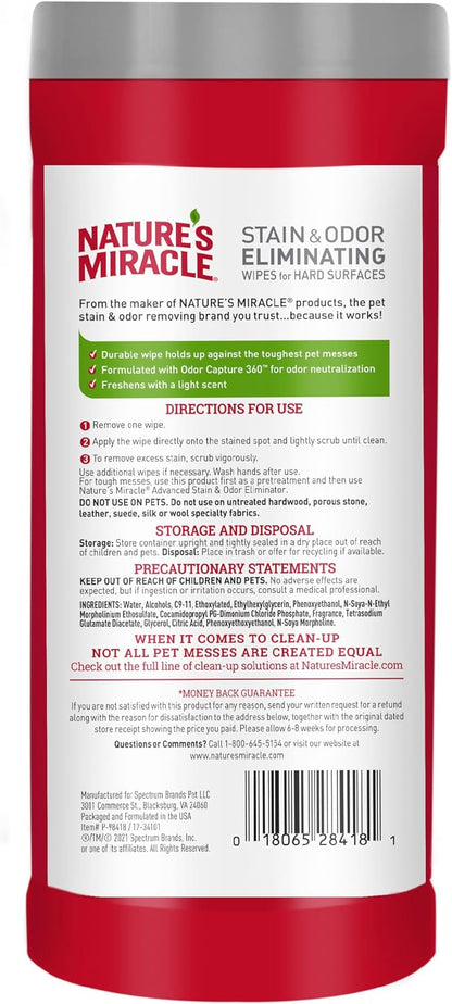 Advanced Dog Stain & Odor Eliminator, Severe Mess, 1 gal