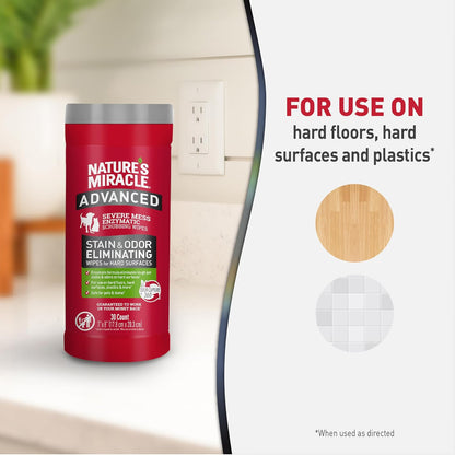 Advanced Dog Stain & Odor Eliminator, Severe Mess, 1 gal