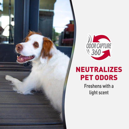 Advanced Dog Stain & Odor Eliminator, Severe Mess, 1 gal