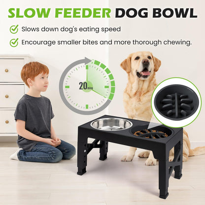 Elevated Dog Bowls with 5 Adjustable Heights Stand