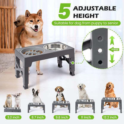 Elevated Dog Bowls with 5 Adjustable Heights Stand