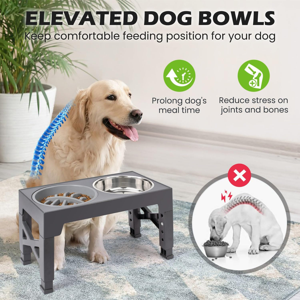 Elevated Dog Bowls with 5 Adjustable Heights Stand