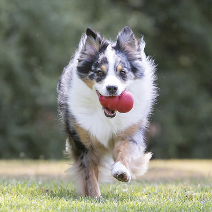 Classic Stuffable Dog Toy, Natural Rubber Chew, for Large Dogs