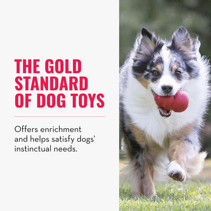 Classic Stuffable Dog Toy, Natural Rubber Chew, for Large Dogs