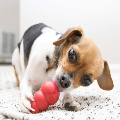 Classic Stuffable Dog Toy, Natural Rubber Chew, for Large Dogs