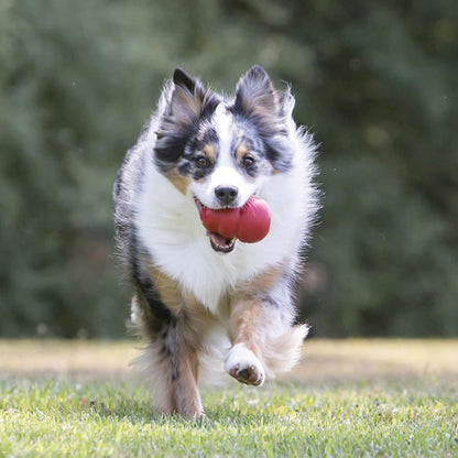 Classic Stuffable Dog Toy, Natural Rubber Chew, for Large Dogs