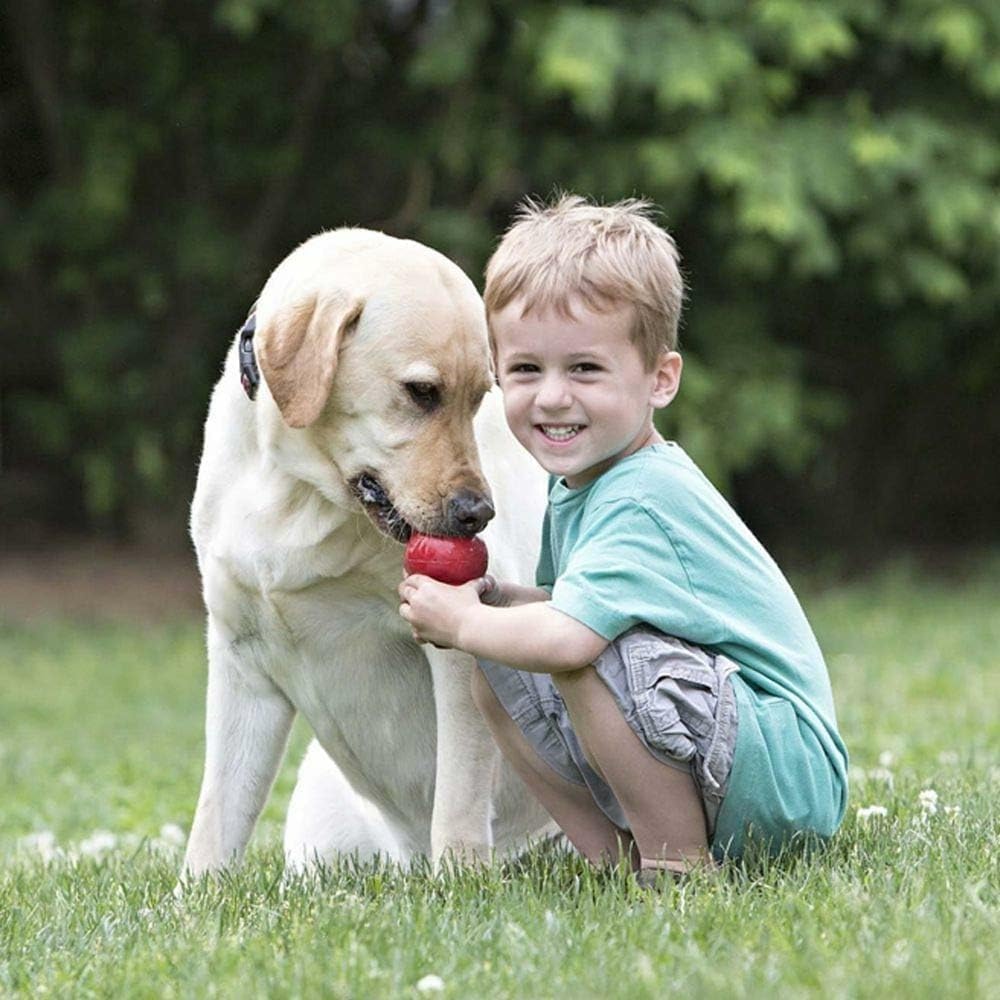 Classic Stuffable Dog Toy, Natural Rubber Chew, for Large Dogs