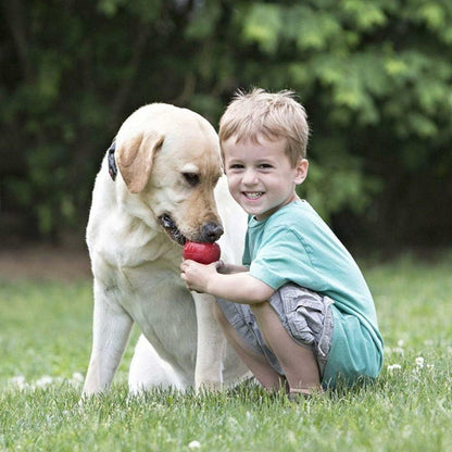 Classic Stuffable Dog Toy, Natural Rubber Chew, for Large Dogs