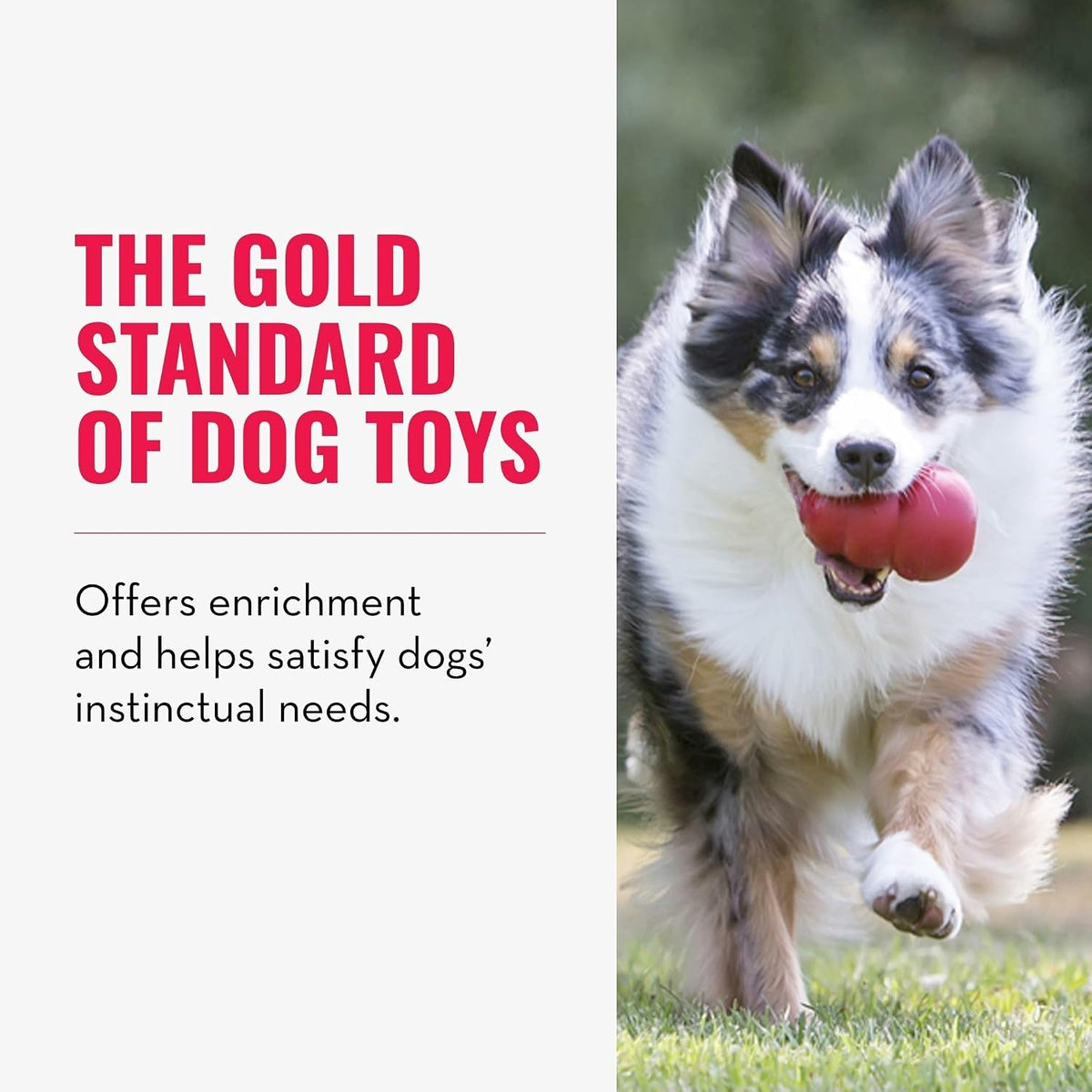 Classic Stuffable Dog Toy, Natural Rubber Chew, for Large Dogs