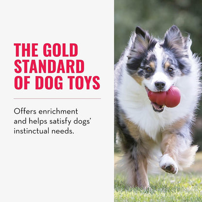 Classic Stuffable Dog Toy, Natural Rubber Chew, for Large Dogs