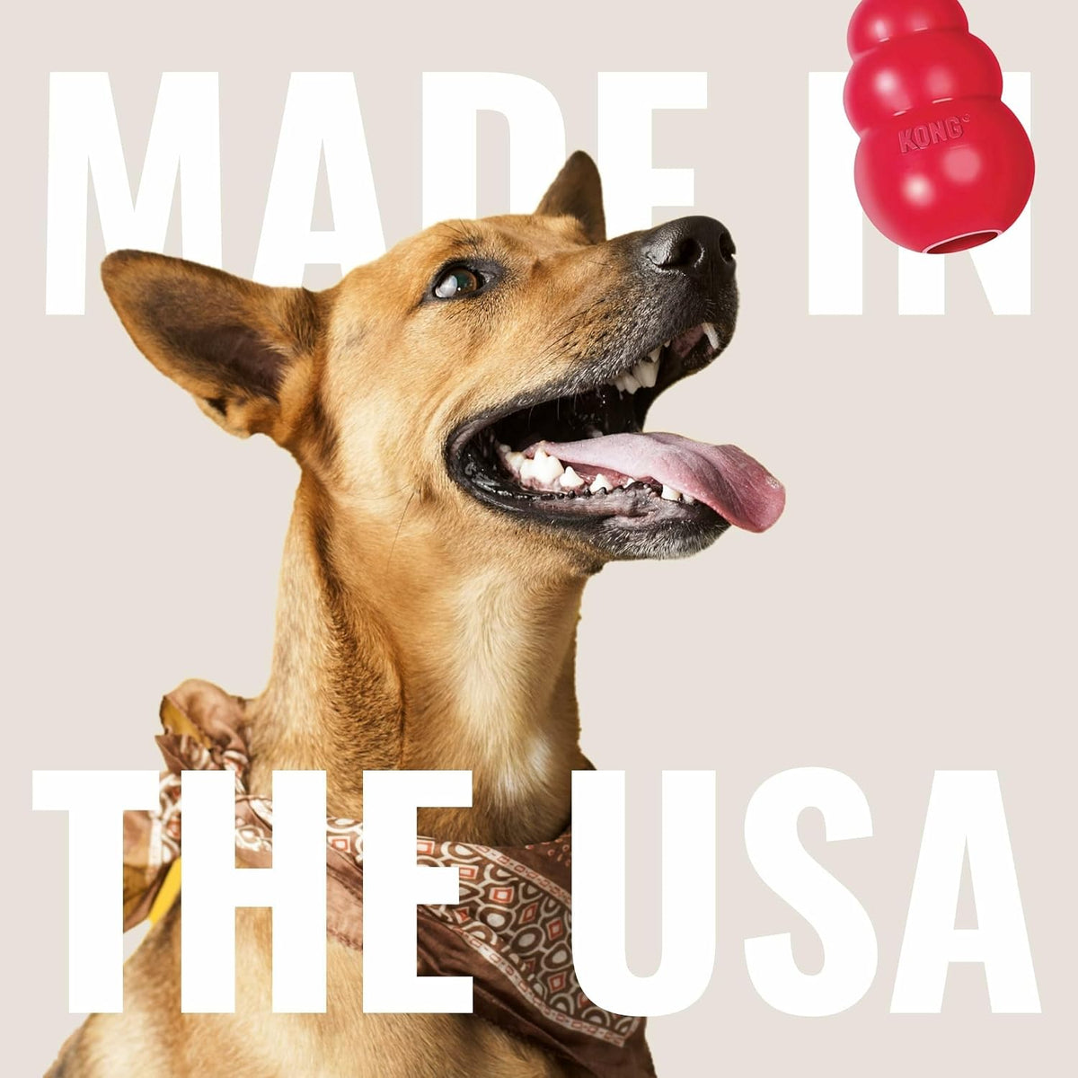 Classic Stuffable Dog Toy, Natural Rubber Chew, for Large Dogs