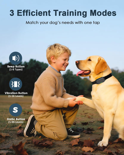 Shock Collar for Dogs, Dog Training Collar with Remote Control