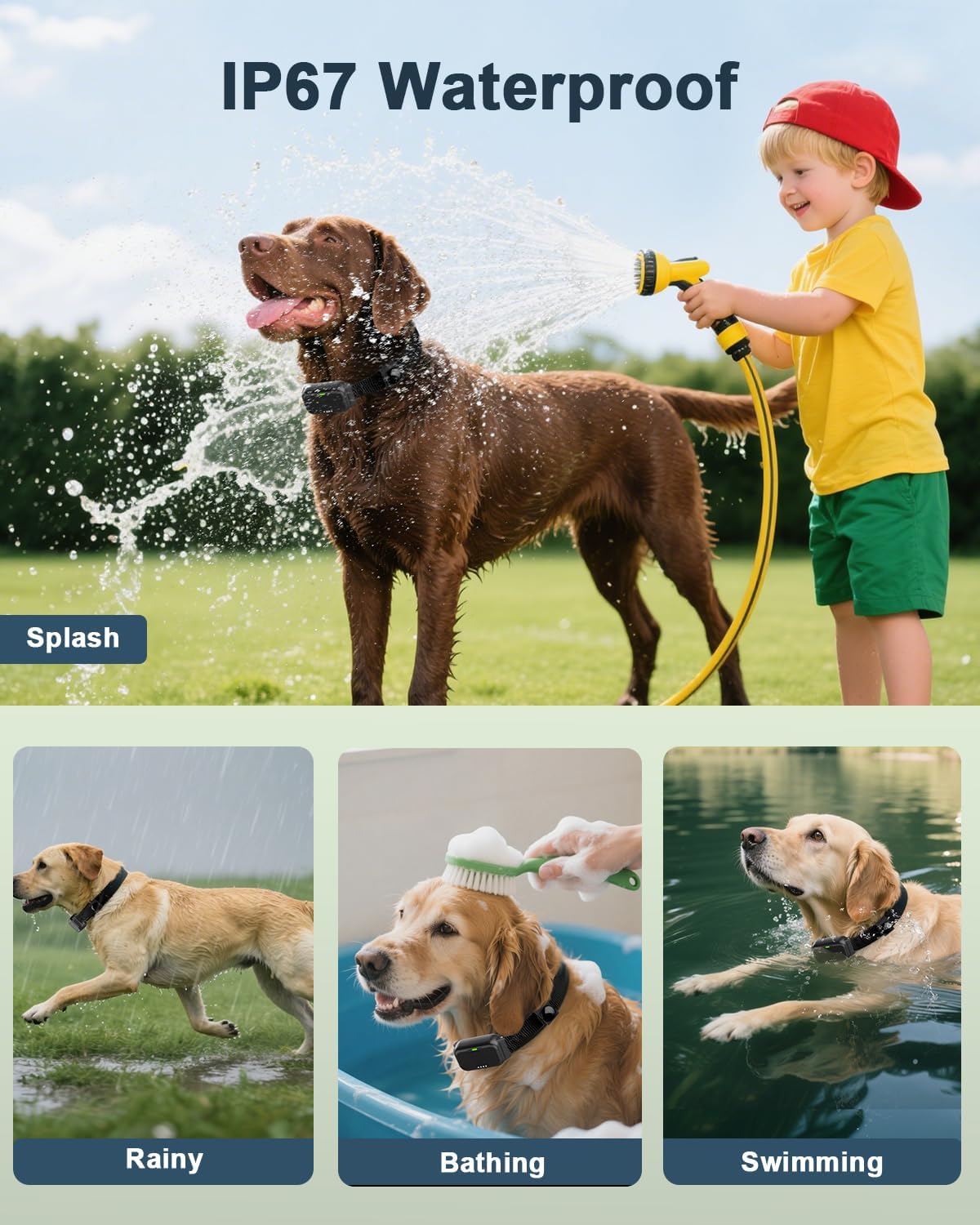 Shock Collar for Dogs, Dog Training Collar with Remote Control