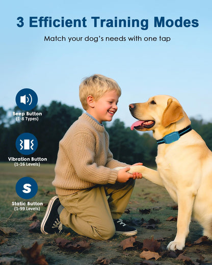 Shock Collar for Dogs, Dog Training Collar with Remote Control