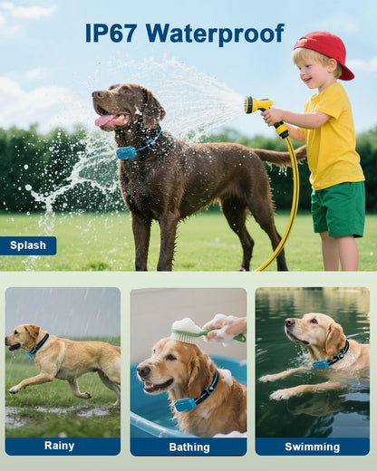 Shock Collar for Dogs, Dog Training Collar with Remote Control