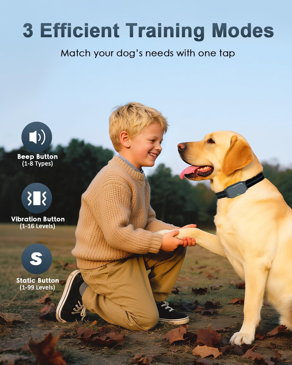 Shock Collar for Dogs, Dog Training Collar with Remote Control