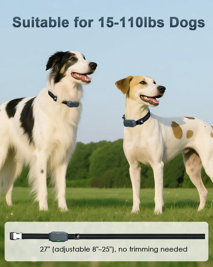 Shock Collar for Dogs, Dog Training Collar with Remote Control