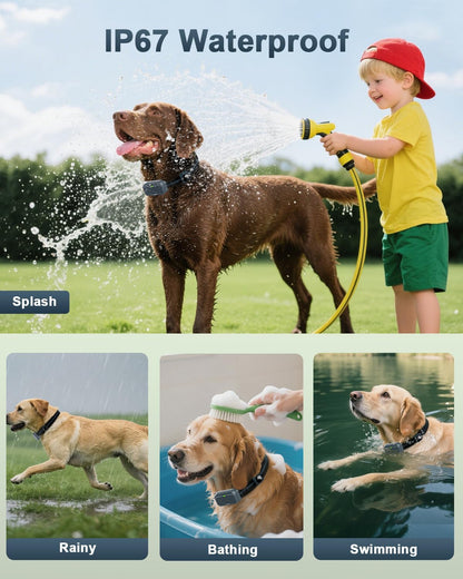 Shock Collar for Dogs, Dog Training Collar with Remote Control