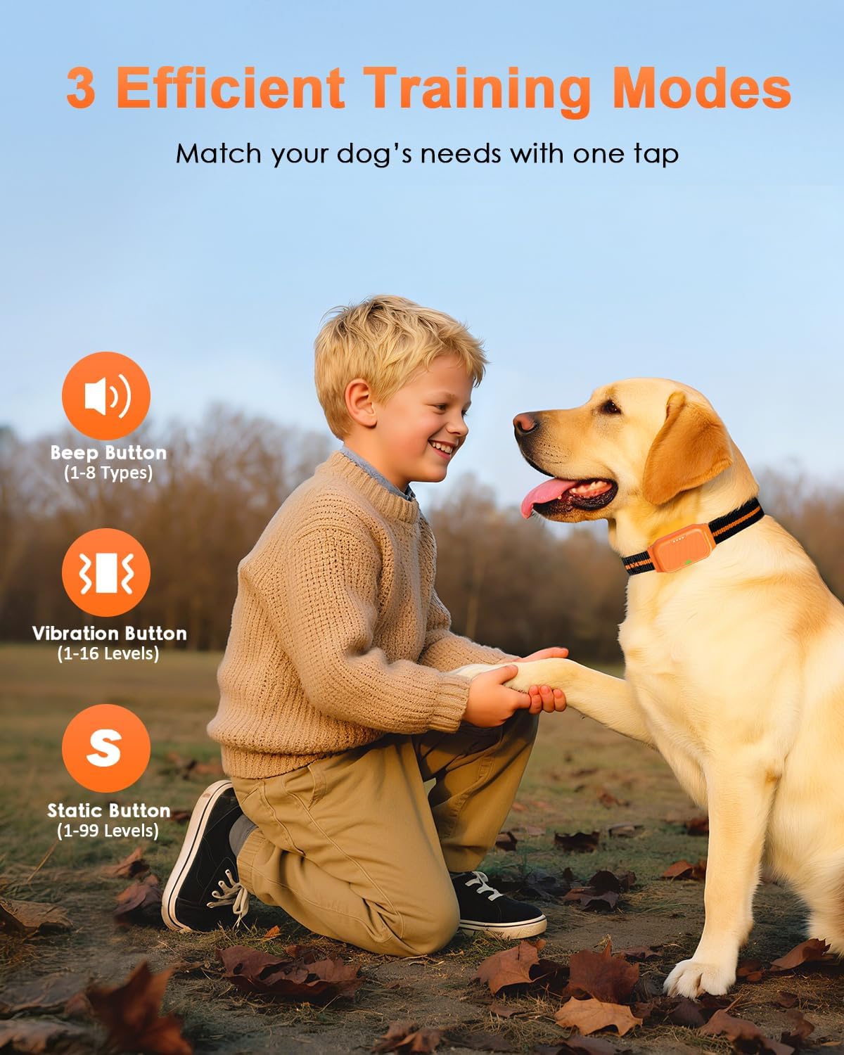 Shock Collar for Dogs, Dog Training Collar with Remote Control