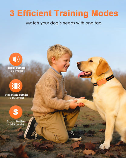 Shock Collar for Dogs, Dog Training Collar with Remote Control
