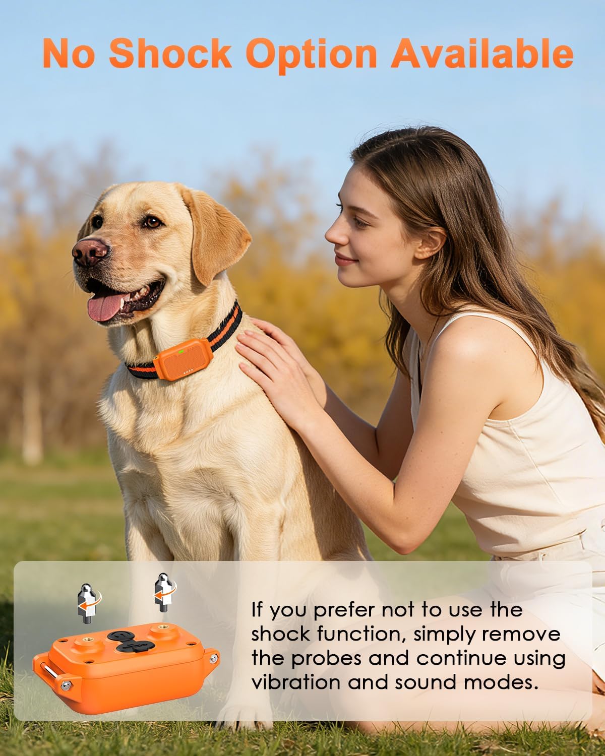 Shock Collar for Dogs, Dog Training Collar with Remote Control