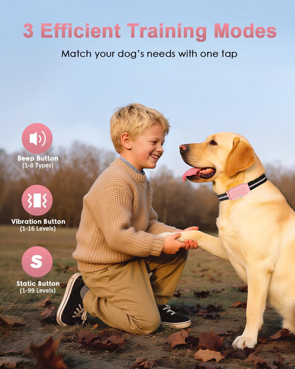 Shock Collar for Dogs, Dog Training Collar with Remote Control