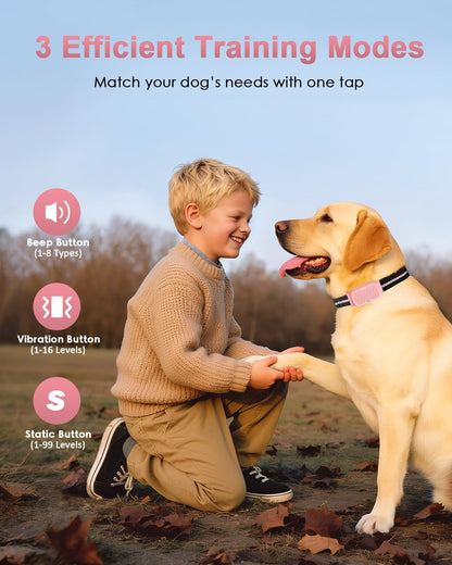 Shock Collar for Dogs, Dog Training Collar with Remote Control