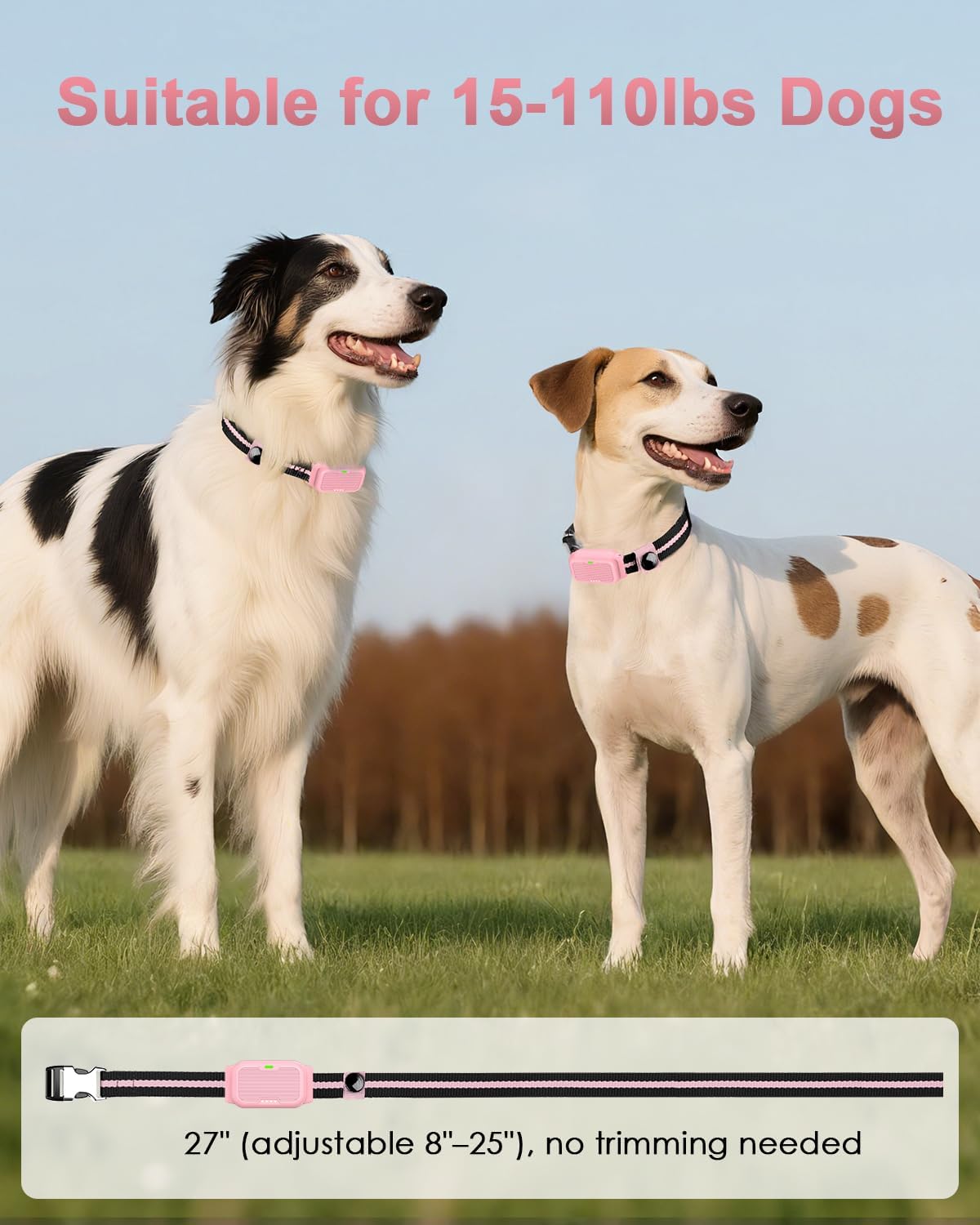Shock Collar for Dogs, Dog Training Collar with Remote Control