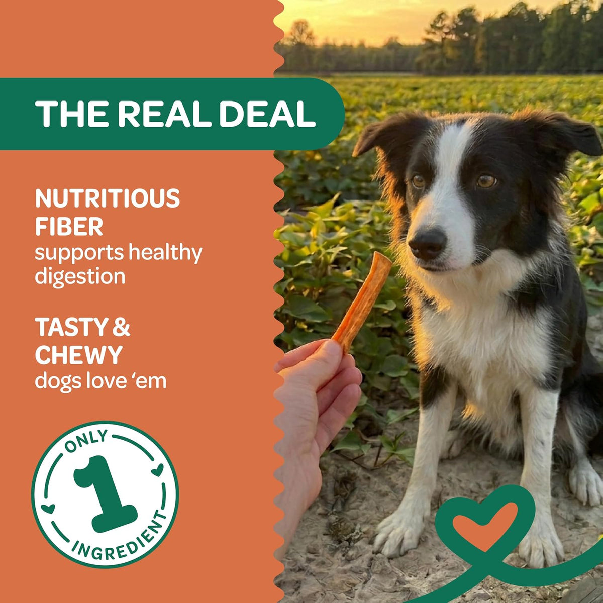 Sweet Potato Chews Healthy Dog Treats, 1 Ingredient, 8 oz