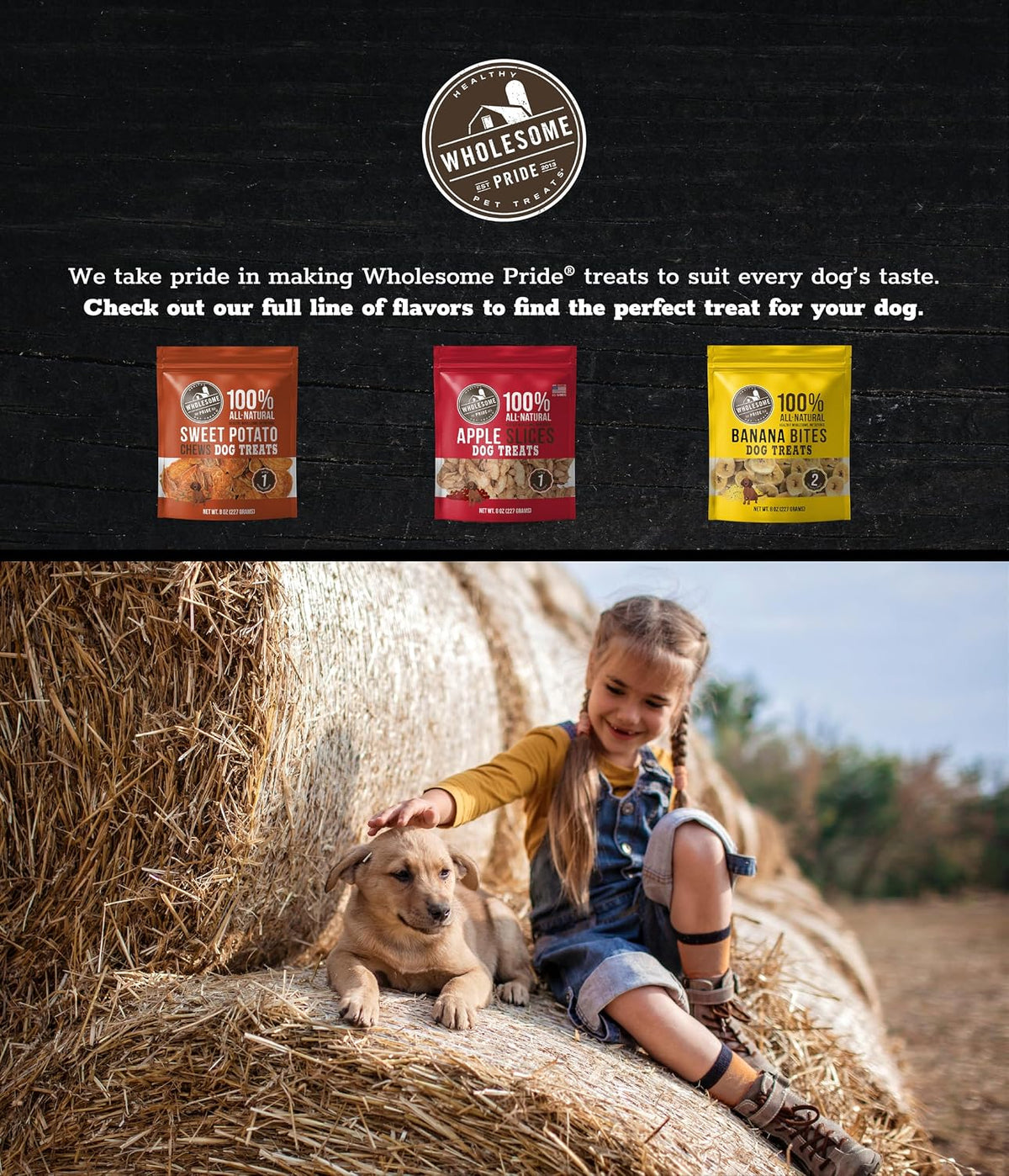 Sweet Potato Chews Healthy Dog Treats, 1 Ingredient, 8 oz
