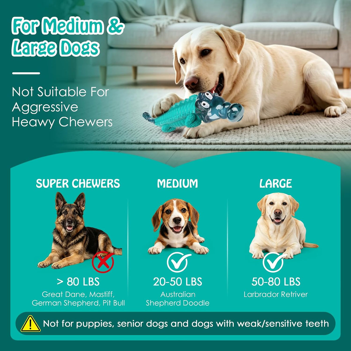 Dog Toys for Aggressive Chewers
