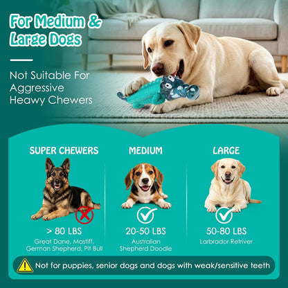 Dog Toys for Aggressive Chewers