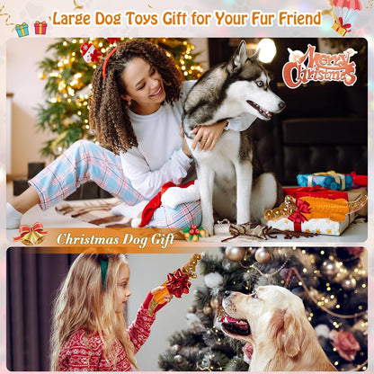Dog Toys for Aggressive Chewers