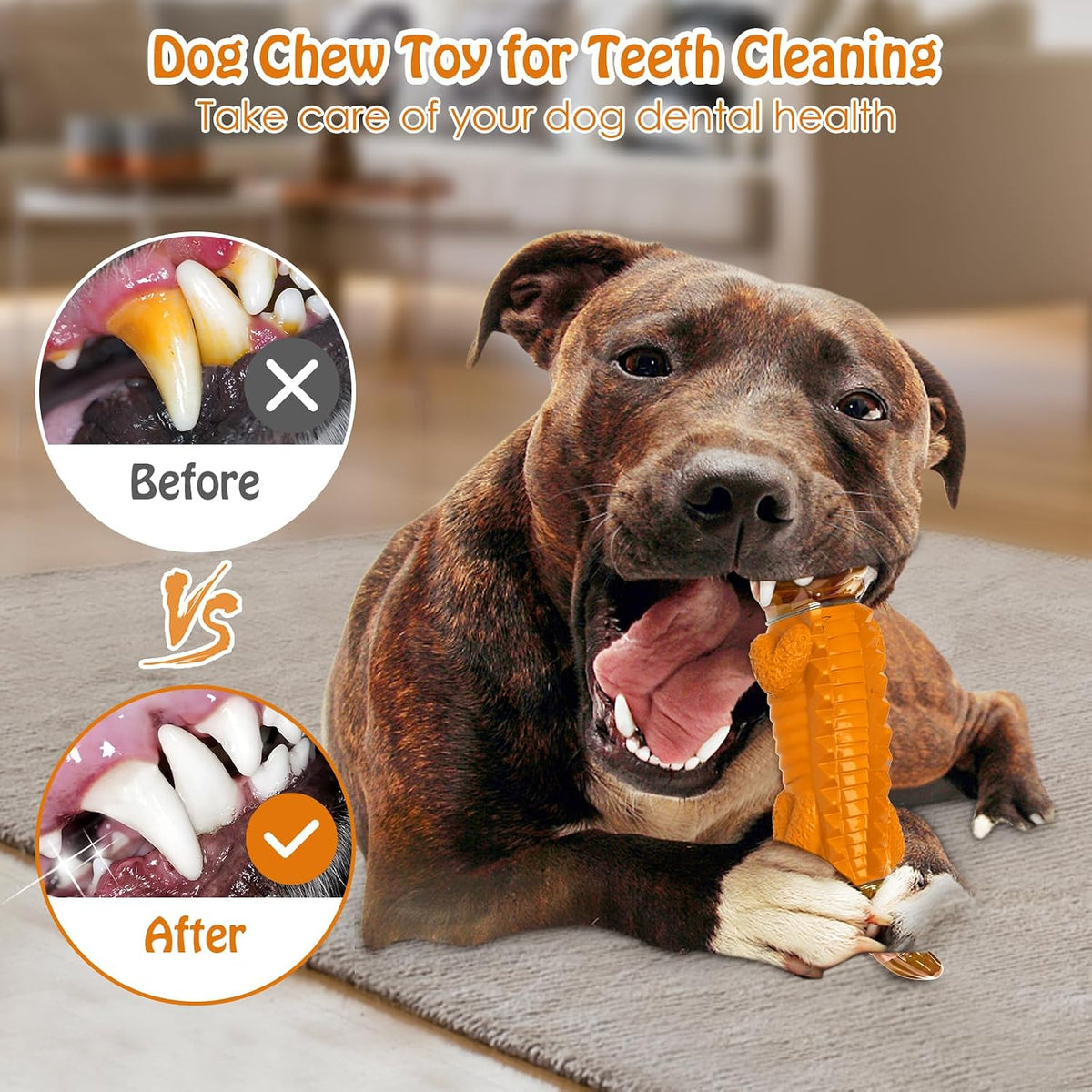 Dog Toys for Aggressive Chewers