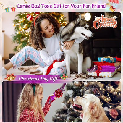 Dog Toys for Aggressive Chewers