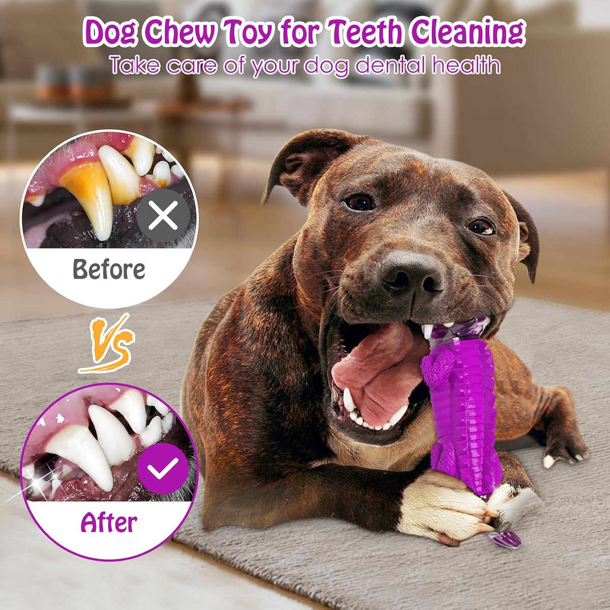 Dog Toys for Aggressive Chewers