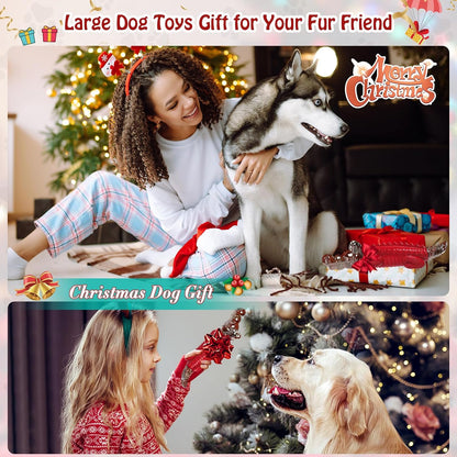 Dog Toys for Aggressive Chewers