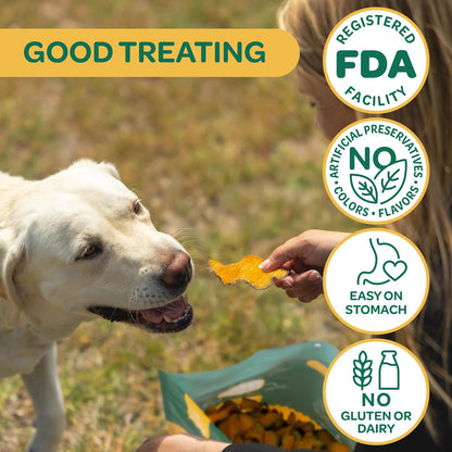 Pumpkin Slices Healthy Dog Treats, 1 Ingredient, 5 oz