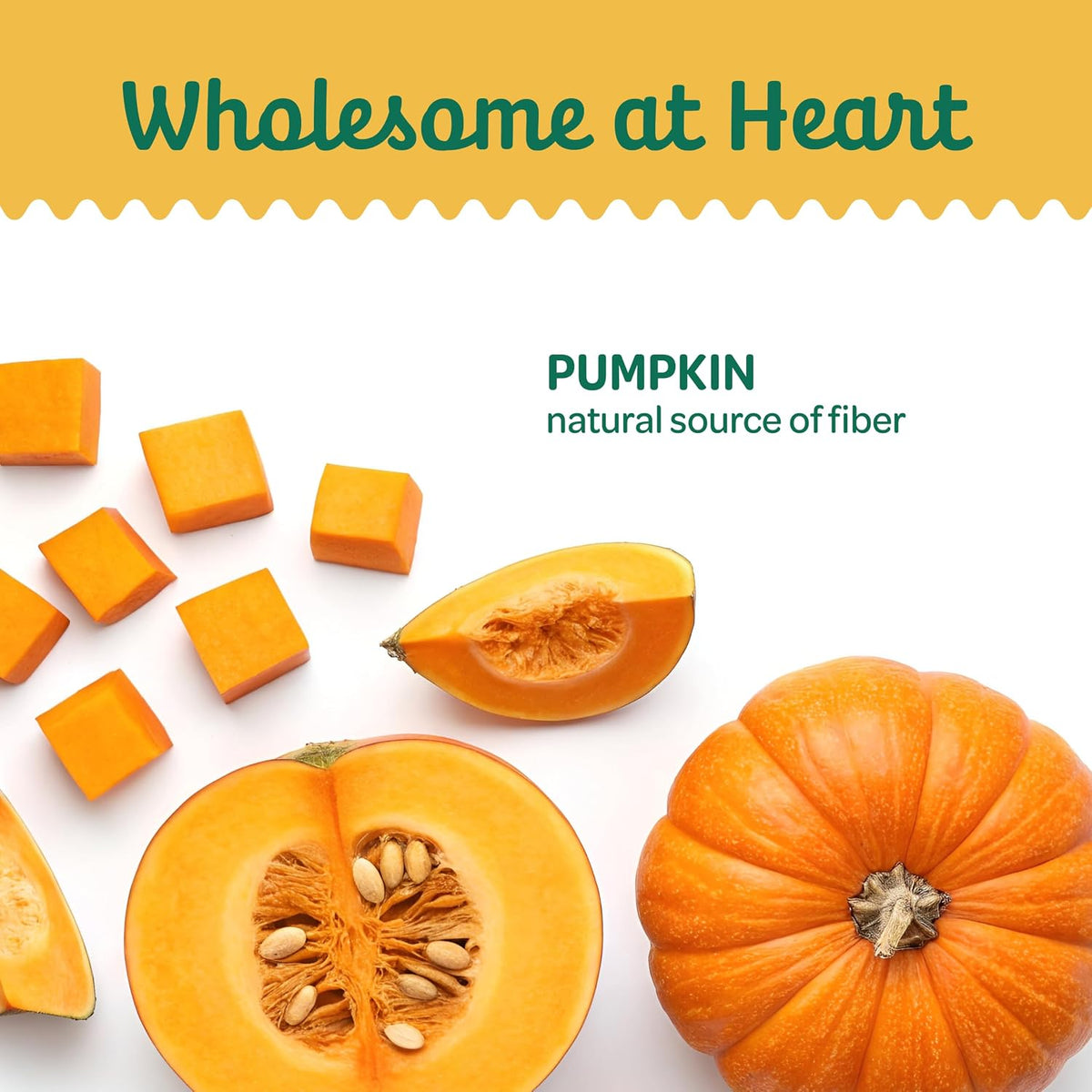 Pumpkin Slices Healthy Dog Treats, 1 Ingredient, 5 oz